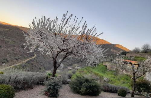 Bairro do Casal - Turismo d'Aldeia - Foto 3