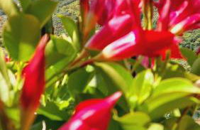 Casa Sofia - Foto 28