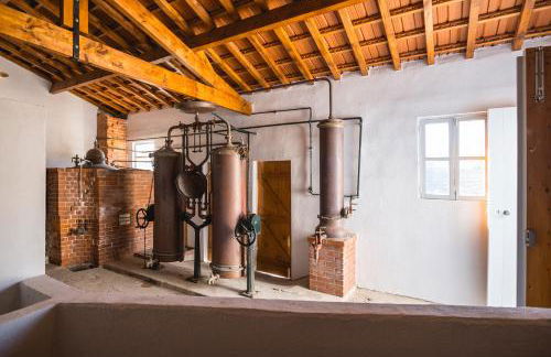 Quinta São Luiz The Vine House Douro - Foto 61