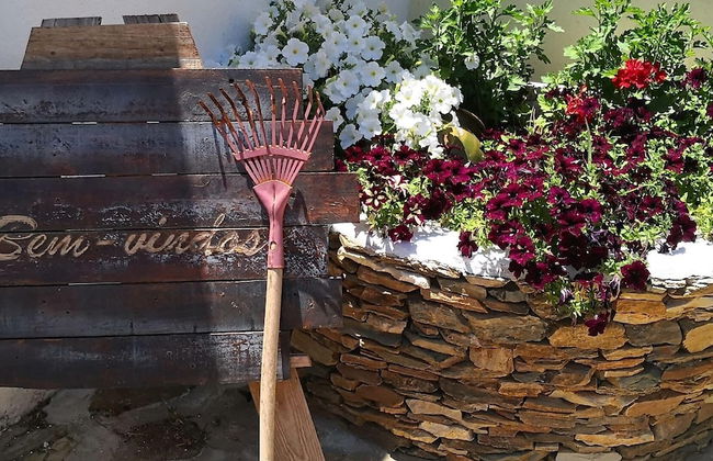 Aguas Belas b& be T1 Blue - Foto 22