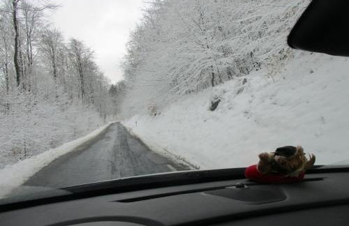 Ferienwohnung Schlothauer 1 - Foto 15