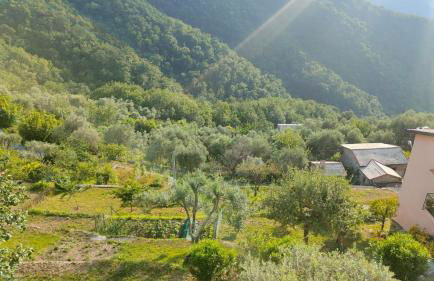 casa di arya CODICE CITRA LT-0043 - Foto 39