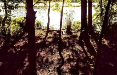 Secluded Watertree Tiny House near Old Hickory Lake – Private Deck, Trails & Breakfast - Foto 68