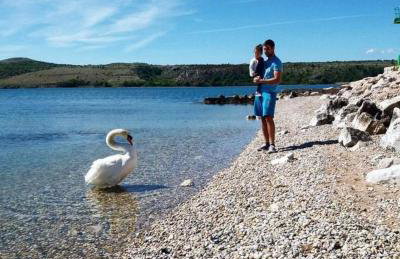 Apartment "Libra" Posedarje - Photo 45