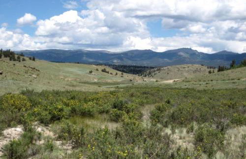 Luxury Cabin Rental with Breathtaking Views in Park County, Colorado - Foto 22