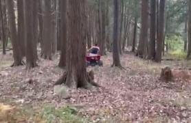 The Babbling Brooke - Foto 50