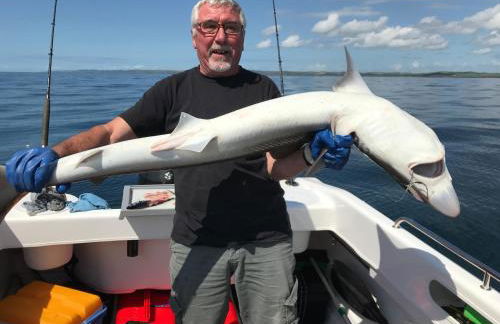 Curlew Cottage and Sunset View - Foto 28