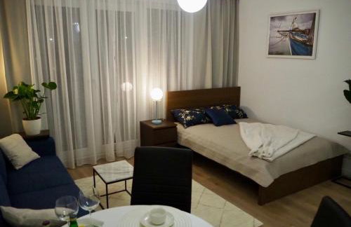 Studio nr 2 close to Medicover and Paley Institute - Foto 4