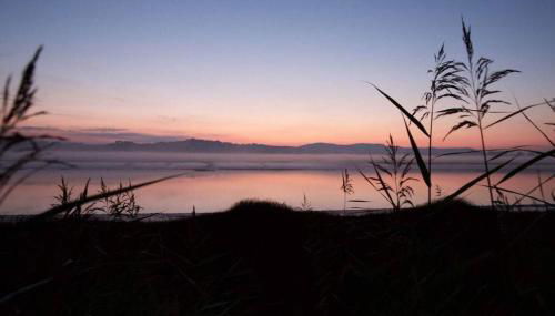 Shorepark - waterfront cottage with stunning views - Foto 2