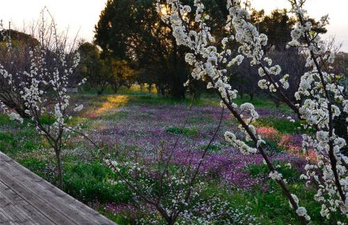 Villa Aliki - Foto 41