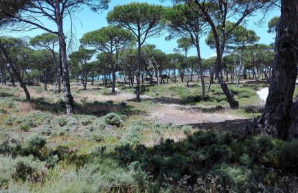 Casa Rio da Prata - Foto 29