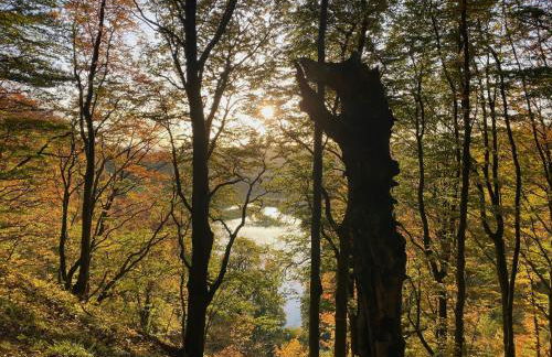 Haus-Holiday Walkenried - Harz - Photo 54