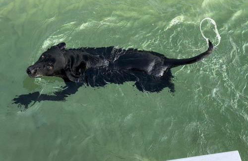 Ferienwohnung Maren - Foto 41