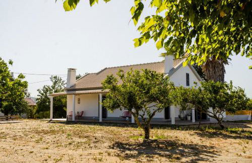 Quinta Alto da Capela - Foto 14