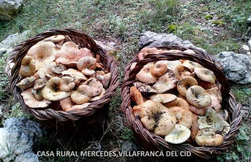 Casa Mercedes - Foto 32