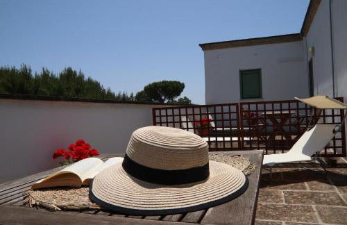 Azienda Agricola Francesca Stajano - Foto 12