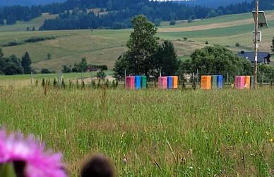 Tabaszówka - Foto 14