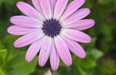 Al Civico 365 - Foto 26