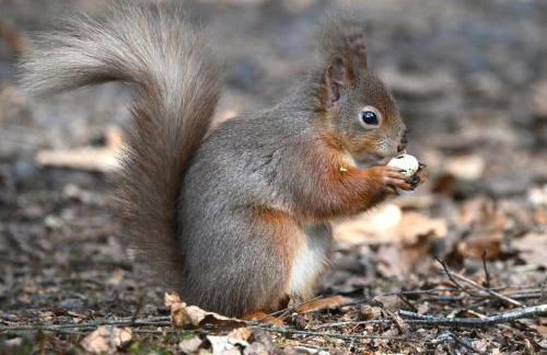 Kents Bank Holiday - Pet Friendly with Bay Views - Foto 30