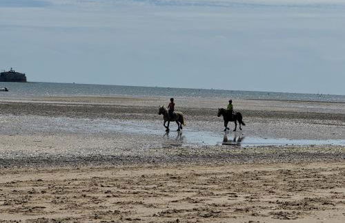Little holiday cottage in Seaview, minutes walk to beach - Photo 13