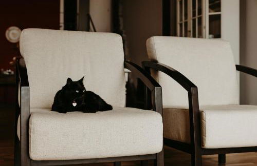 Casa do Sorrio - Slow Down, Live Now - Foto 41