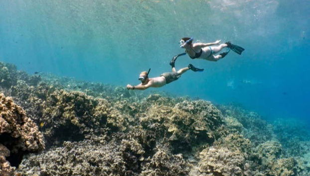 Big Island Snorkel Tour - Foto 2