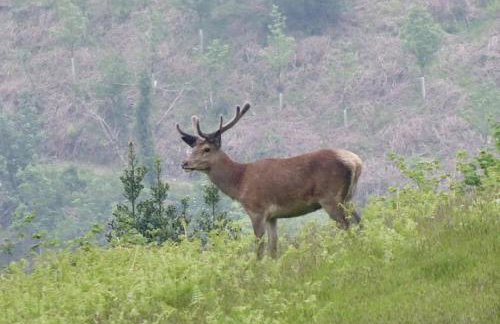 The Piggery Dulverton - Foto 50