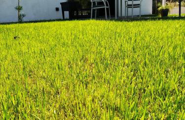 House of Silence - Foto 17