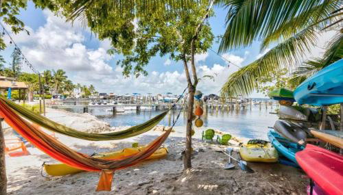 Moon Bay Condo, Paradise Found in Sunny Key Largo, Florida - Foto 2, sunbed