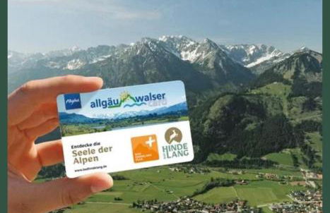 Bergnest Iseler mit Panoramablick - Foto 12