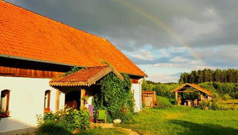 Jabłkowo-na skraju Puszczy Boreckiej ŚNIADANIA W CENIE - Foto 5