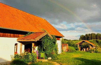 Jabłkowo-na skraju Puszczy Boreckiej ŚNIADANIA W CENIE - Foto 5