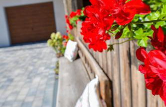 Apartamenty Tilia Laskowa - Zator - Photo 59