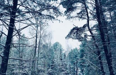 Palma de Masuria Ekskluzywny Dom na wyłączność - Foto 33