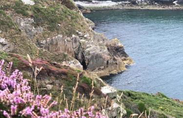 Charming coastal cottage - pet friendly! - Photo 49