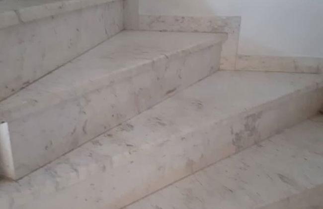 Antonia House - Photo 35