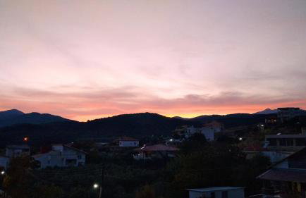 Oasis Apartments - Photo 36