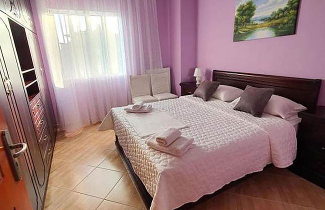 Hotel Vila Alvin & Apartments - Foto 12