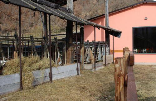 Agriturismo Natura e Gusto fattoria didattica - Foto 6