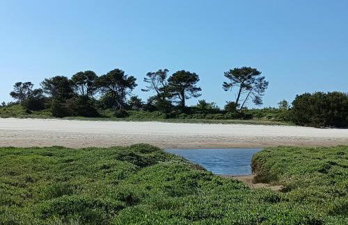 Santec Roscoff maison 500m mer Finistère Bretagne - Photo 45