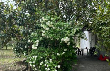 Irinis Cottage - Foto 26