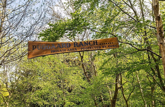 7 Person Holiday Home in Hornbaek-by Traum - Foto 18