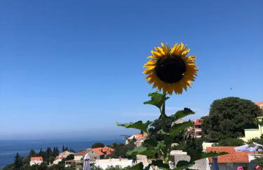 Apartmani Ana - Foto 16