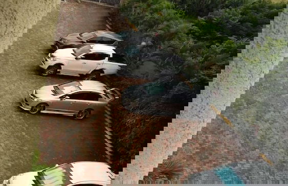 Palms of Liguanea - Foto 26