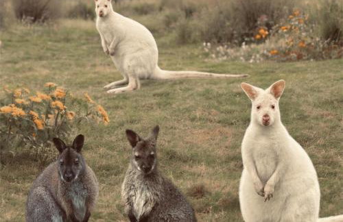 Parlour Barn - Photo 53