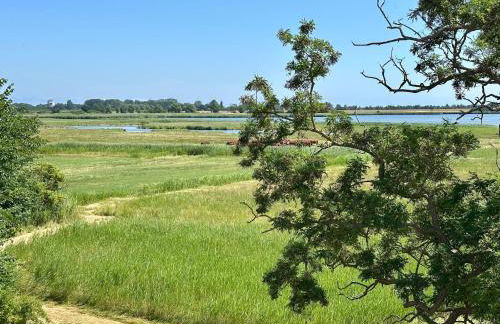 Ferienanlage "Uns Wiek Hus" Ferienwohnung 9 - Foto 20