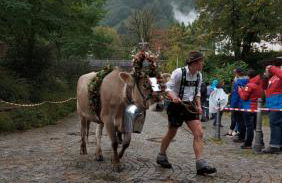 Fewo Gabriela Allgäu - Photo 32