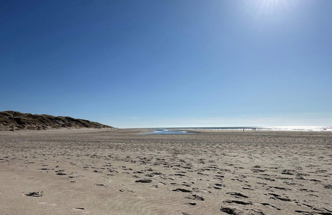 5 Star Holiday Home in Henne - Foto 21