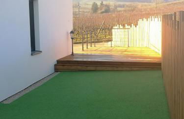 Cocon de caractère au cœur des vignes Alsaciennes - Foto 20