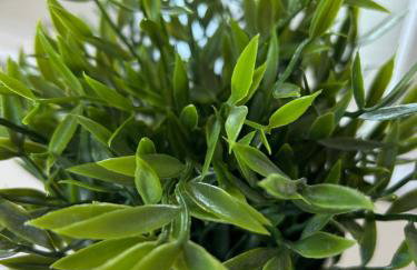 3 bedroom - 2 bathroom Townhouse in Corstorphine Near Murrayfield Stadium - Direct Bus To Edinburgh City Centre in 20 Minutes - Two Private Parking Spaces - Private Sunny Garden - Recently Refurbished - Foto 23